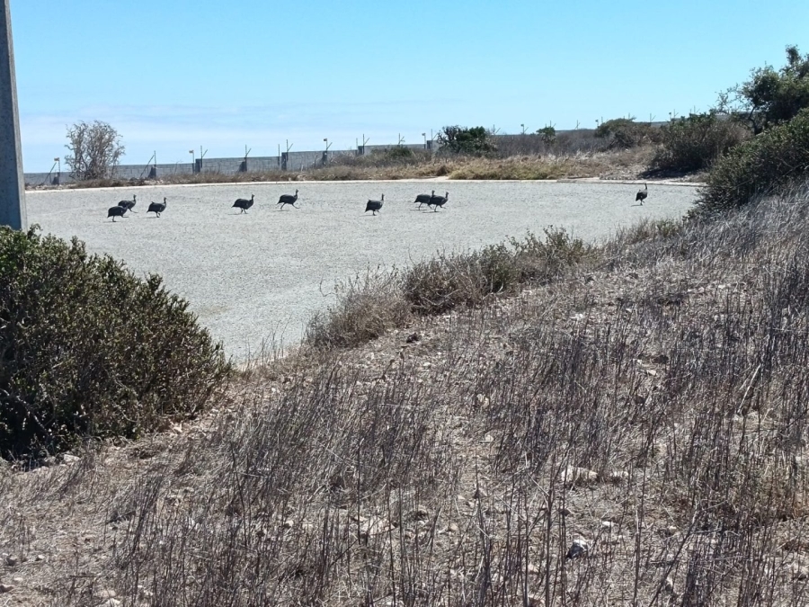 Commercial Property for Sale in Hoogland Western Cape